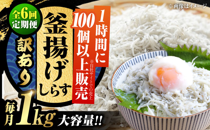 【全6回定期便】【訳あり】しらす 冷凍 シラス 干し 釜揚げ鮮度抜群＆水分率80％!ふわふわ釜揚げしらす 1kg （業務用） 冷凍 シラス 鮮魚 ギフト 海鮮丼 広島県 江田島/三島水産株式会社 [XCN027] 定期便