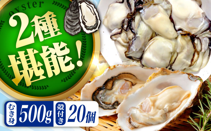 高品質の牡蠣を産地直送！ 【生牡蠣】【着日指定可能】『てつまるかき』牡蠣 むき身500g・殻付き20個セット 加熱用 かき 海鮮 海産物 簡単 広島県産 江田島市/有限会社テツマル海産 [XCO013]