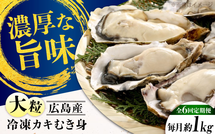 【全6回定期便】牡蠣 冷凍 こだわり大粒牡蠣むき身【瞬間冷凍】 約1kg 牡蠣 かき カキ 大粒 かき 海鮮 和食 海産物 広島県産 江田島市/有限会社マルイチ水産 [XCU015]
