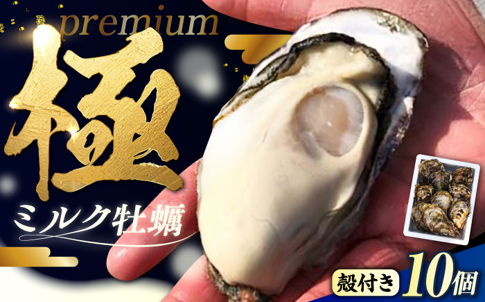 江田島ミルク牡蠣 殻付き 10個 加熱用 かき 広島県産 カキ 貝付き牡蠣 海鮮 贈呈用 BBQ 濃厚 新鮮 蒸し牡蠣 焼き牡蠣 グリル焼き 丸杉水産/江田島市 [XCY001]