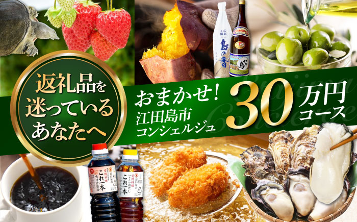 【江田島市コンシェルジュ】返礼品おまかせ！寄附額30万円コース [XZZ002] 旅行・体験