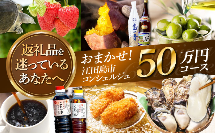 【江田島市コンシェルジュ】返礼品おまかせ！寄附額50万円コース [XZZ003] 旅行・体験