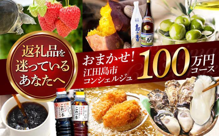 【江田島市コンシェルジュ】返礼品おまかせ！寄附額100万円コース [XZZ004] 旅行・体験