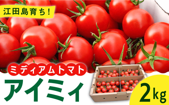 「食の安全」を守りたい!自然を活用した低農薬栽培! ミディアムトマト 2kg 江田島市/有限会社グリーンファーム沖美 