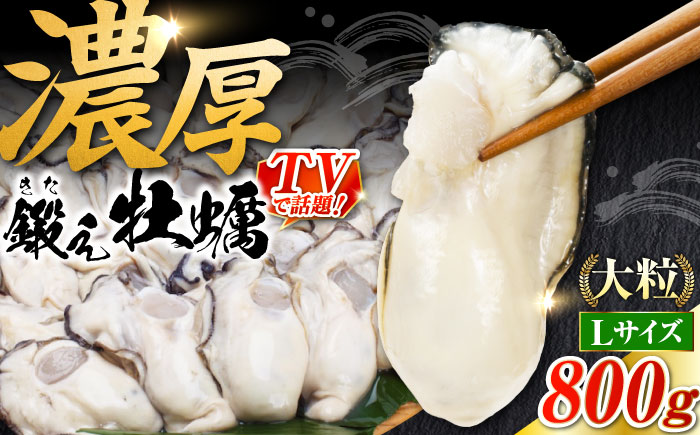 他の牡蠣とは味がちがう！鍛え牡蠣 冷凍むき身 Lサイズ 計1kg 江田島市/有限会社寺本水産[XAE024]