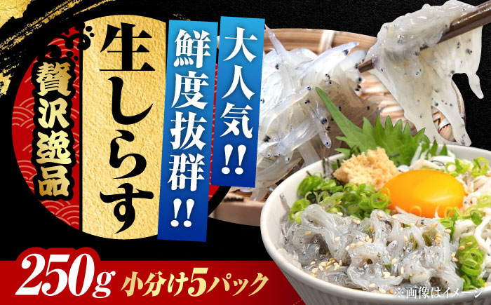 生しらすのプリッした食感と塩味が抜群!生しらす50gX5個 冷凍 シラス 鮮魚 ギフト 海鮮丼 広島県産 江田島市/三島水産株式会社 [XCN002] お肉・魚介