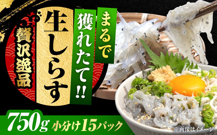 [年内発送][お歳暮対象]しらす 冷凍 シラス 小分け 干し 生しらすのプリッした食感と塩味が抜群!生しらす50g×15個 冷凍 シラス 鮮魚 ギフト 海鮮丼 広島県産 江田島市/三島水産株式会社 [XCN003] お肉・魚介