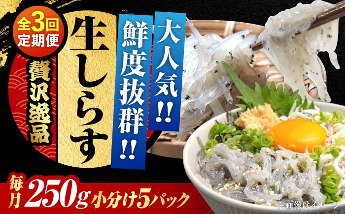 [全3回定期便]生しらすのプリッした食感と塩味が抜群!生しらす50gX5個 冷凍 シラス 鮮魚 ギフト 海鮮丼 広島県産 江田島市/三島水産株式会社 [XCN011] 定期便