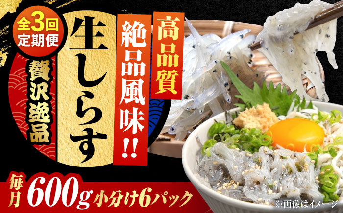 [全3回定期便]しらす 冷凍 シラス 小分け 干し 生しらすのプリッした食感と塩味が抜群!生しらす100g×6個 冷凍 シラス 鮮魚 ギフト 海鮮丼 広島県産 江田島市/三島水産株式会社 [XCN020] 定期便