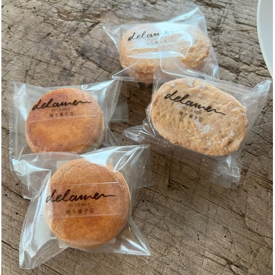 ガトーショコラとレーズンサンド、ダックワーズのセット【配送不可地域：離島】