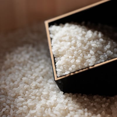 広島県産コシヒカリ　10kg