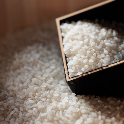 無洗米広島県産コシヒカリ10kg