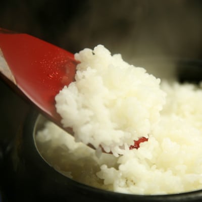 無洗米広島県産コシヒカリ10kg