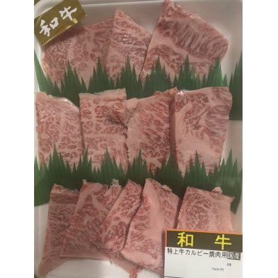 焼肉セットB(和牛250g　豚肉250g)【配送不可地域：離島】