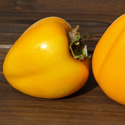 【期間限定】祇園坊干し柿【配送不可地域：離島】