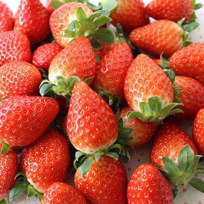 2月発送【季節限定】新鮮朝採れ!安芸太田町産いちご「かおり野」 (280g×4パック)【配送不可地域：離島・北海道・沖縄県】