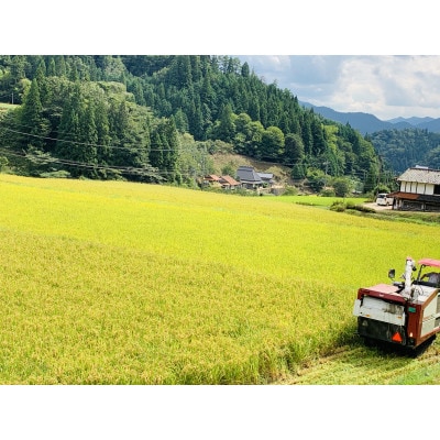 【令和7年産】コシヒカリ　白米5kg