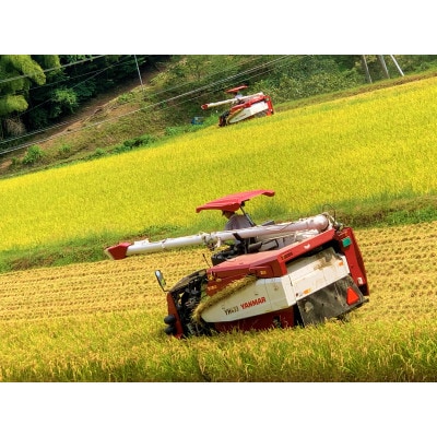 【令和7年産】ヒノヒカリ　玄米5kg×2袋　計10kg