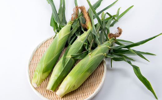 【期間限定】安芸太田町産とうもろこし(ゴールドラッシュ)　Lサイズ以上15本!【配送不可地域：離島】