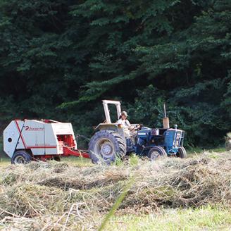 広島産黒毛和牛　「見浦牛」のリブロースステーキ(500g)【配送不可地域：離島】