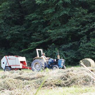 広島産黒毛和牛　「見浦牛」のカルビ(300g)【配送不可地域：離島】