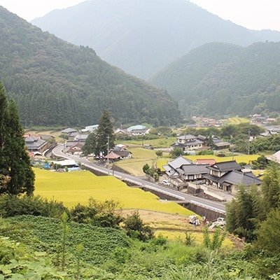 のびがちがう!「和の里」の杵つき餅セット(白6個×3袋、よもぎ6個×1袋)【配送不可地域：離島】