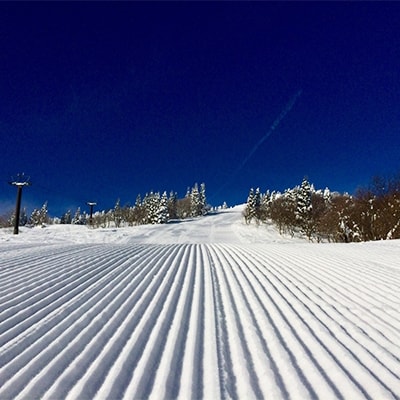 恐羅漢スノーパーク　リフト券と食事券ペアチケット