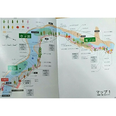 三段峡樹木・景観ガイドブック