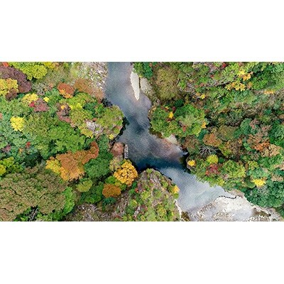 三段峡の絶景をガイドさんと歩く『森林セラピー』ペア体験(2名様)+オリジナルコースター