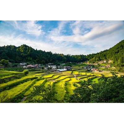 【日本の棚田百選～井仁の棚田～】「米粉の焼き菓子詰め合わせボックス」