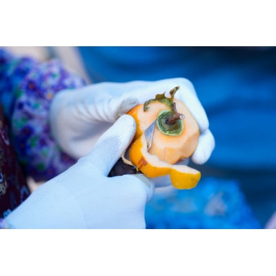 広島名産柿羊羹「祇園坊」