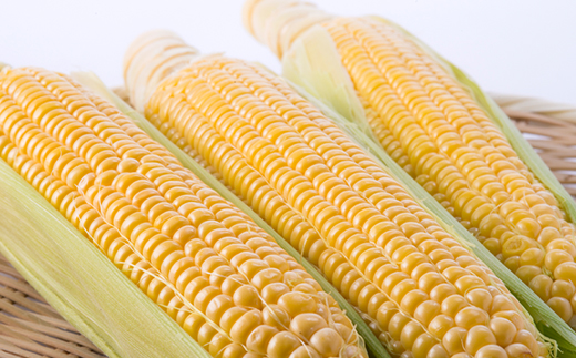 【期間限定】安芸太田町産とうもろこし(ゴールドラッシュ)　Lサイズ以上15本!【配送不可地域：離島】