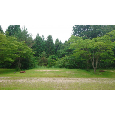 すぎまりキャンプ場　オートサイト1泊利用券(1～7名様)【ペットOK】