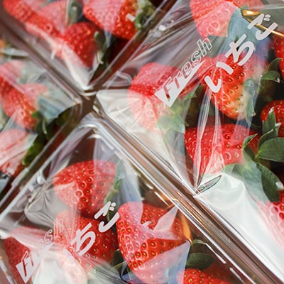 1月発送【季節限定】新鮮朝採れ!安芸太田町産いちご「かおり野」 (280g×4パック)【配送不可地域：離島・北海道・沖縄県】