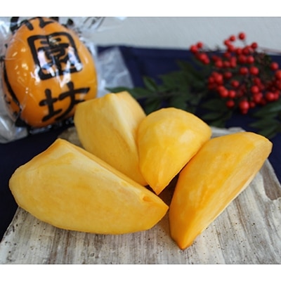 柿の王様「祇園坊柿」のあおし柿・【3L/10個入り】