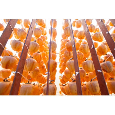 広島名産柿羊羹「祇園坊」