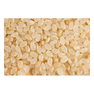 【令和7年産】コシヒカリ　玄米5kg×2袋　計10kg