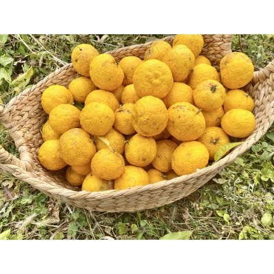 安芸太田町産ゆずとたまねぎの あわのポン酢【とれたて】150ml　2本セット