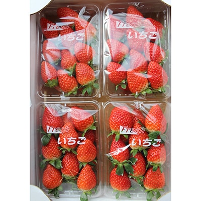 2月発送【季節限定】新鮮朝採れ!安芸太田町産いちご「かおり野」 (280g×4パック)【配送不可地域：離島・北海道・沖縄県】
