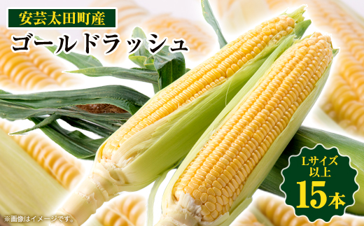 【期間限定】安芸太田町産とうもろこし(ゴールドラッシュ)　Lサイズ以上15本!【配送不可地域：離島】