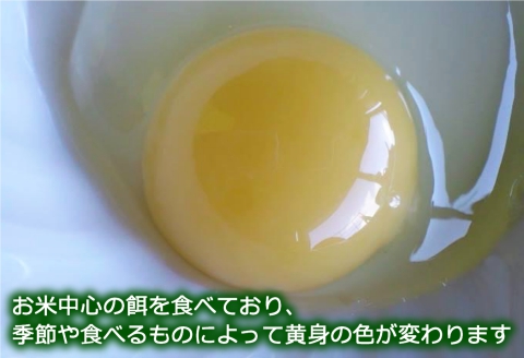 ふぁーむbuffoの平飼いたまご 30個