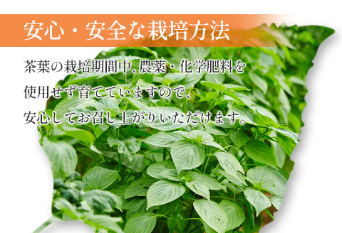 えごま葉茶 ティーバッグ 健康茶 18包×2袋 栽培中農薬不使用 ノンカフェイン