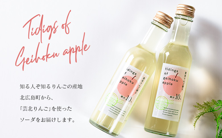 芸北りんご便り（りんごソーダ） 12本セット