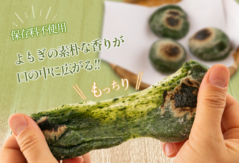 おもち よもぎ餅 20個 へんぽこ茶屋 つきたてよもぎ生餅 つきたて冷凍 冷凍生餅（よもぎ）10個×2パック