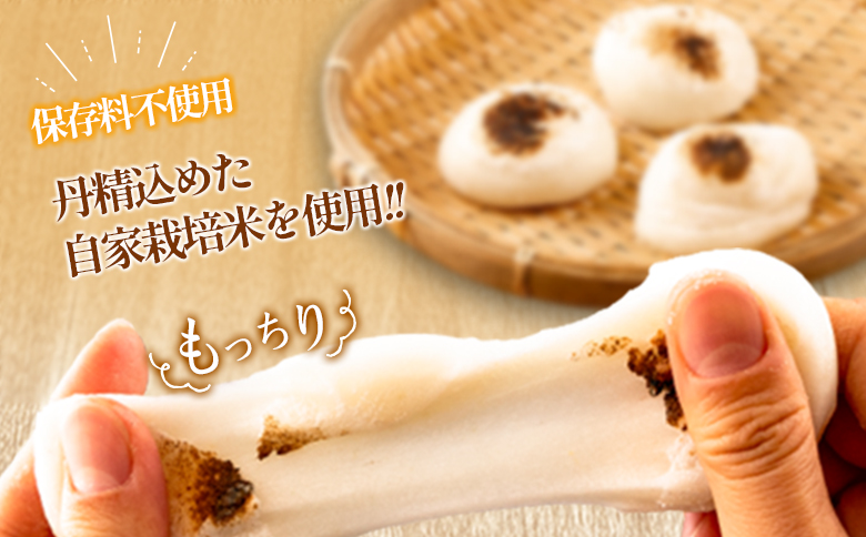 餅 おもち 20個 生餅＆よもぎ生餅セット へんぽこ茶屋 つきたて冷凍 冷凍生餅（白＆よもぎ）10個×各1パック