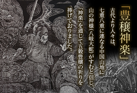 『定期便』豊穣神楽米（コシヒカリ）精米5kg 全6回 【定期便】精米5kg × 6回
