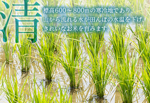 『定期便』12回 毎月お届け あきたこまち 精米 5kg 芸北高原米 銀の雫 【定期便】精米5kg × 12回