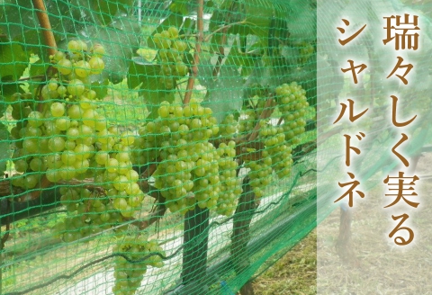 ワイン 白ワイン シャルドネ 国産 山霧路 ホッコーワイナリー