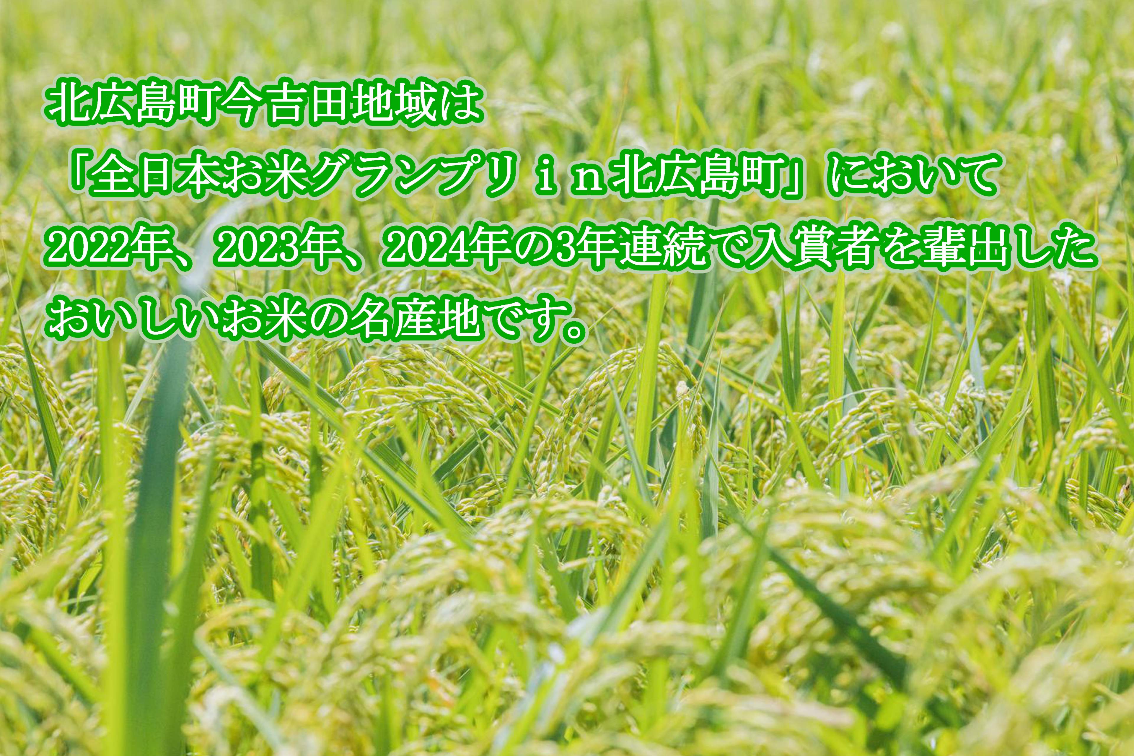 精米 コシヒカリ 10kg 「源流米 今吉田」 2025年産 米どころ北広島町のおいしいお米