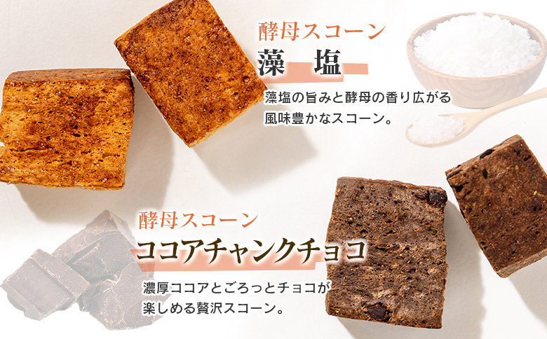 スコーン LiandBagle リアンドベーグル 天然酵母 自家製 手づくり 酵母スコーン 4種 オリジナルドリップバッグコーヒー